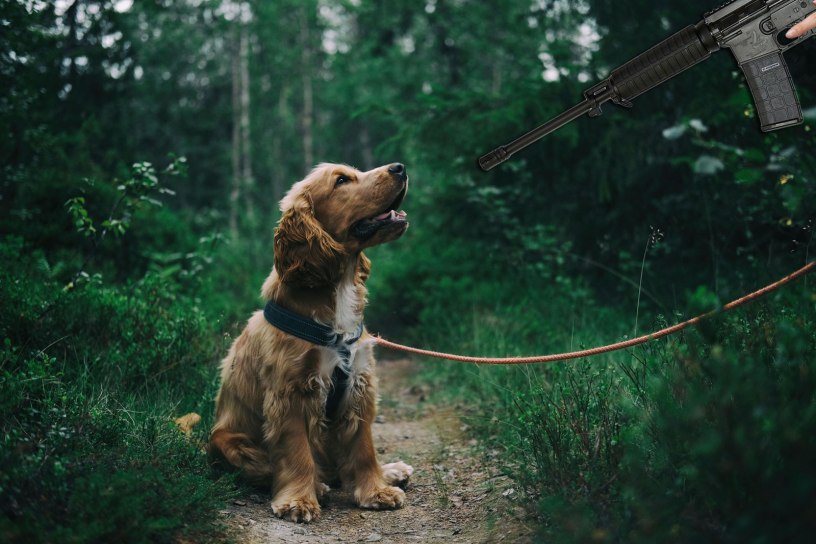 Kristi-Noem-dog-hunting-class