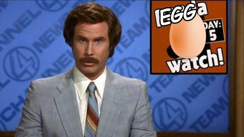 egg-watch