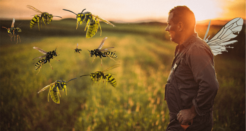 Just a man and his radioactive hornets
