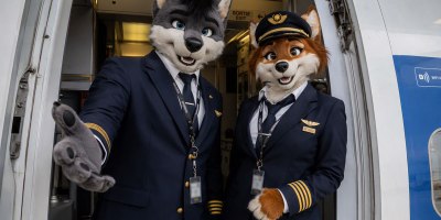 Furries on a plane